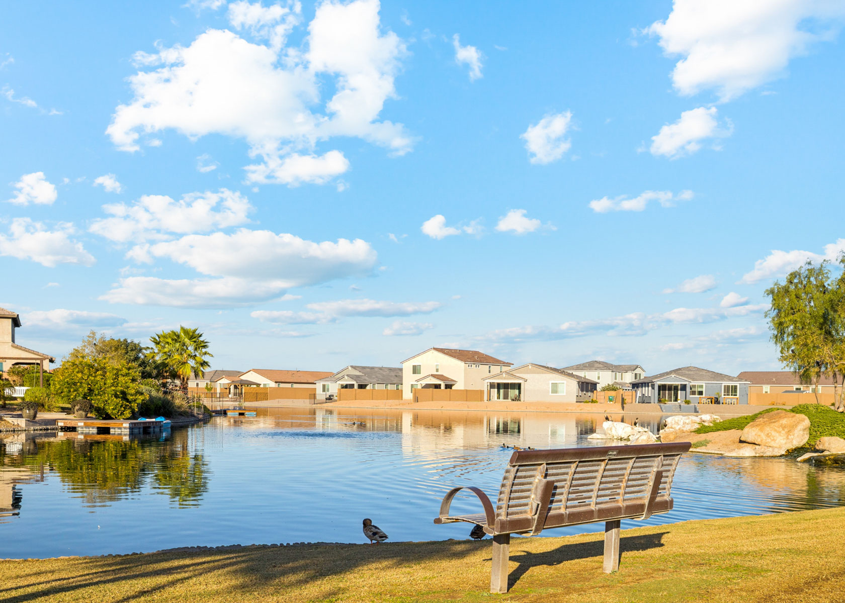 A bench next to a body of water with buildings in the background.