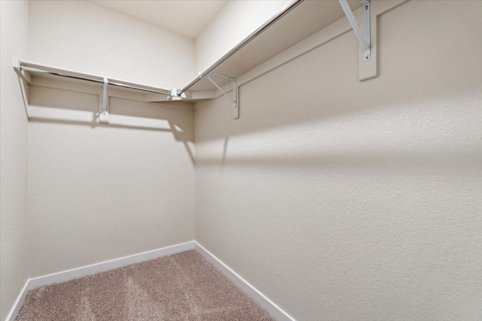 A white staircase with a carpet.