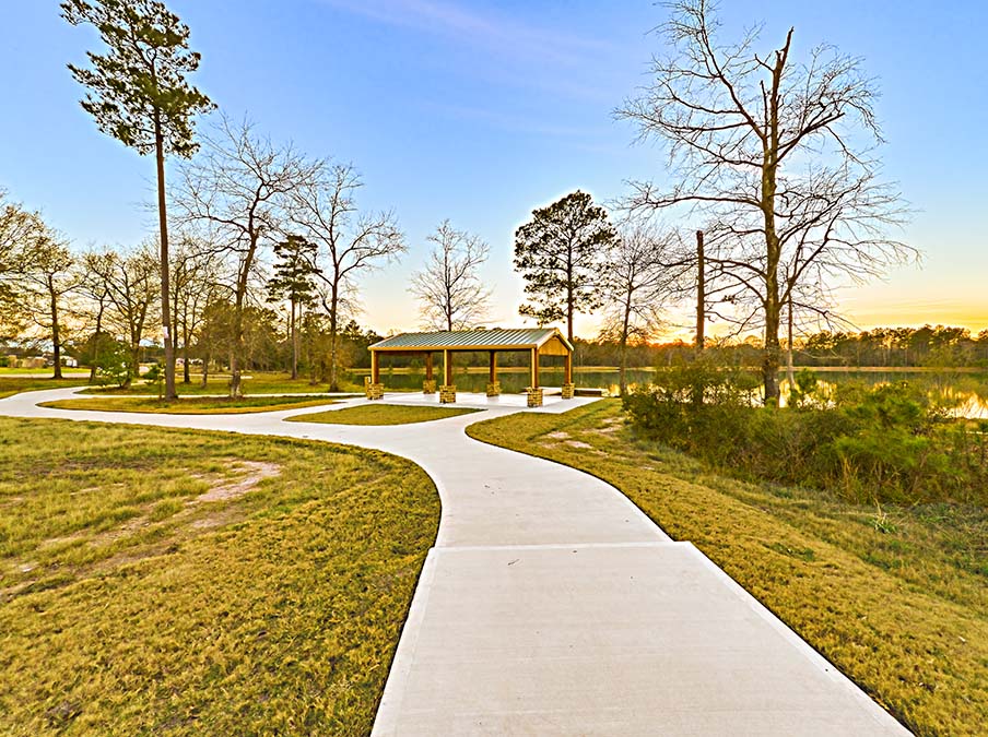 A path with grass and trees.