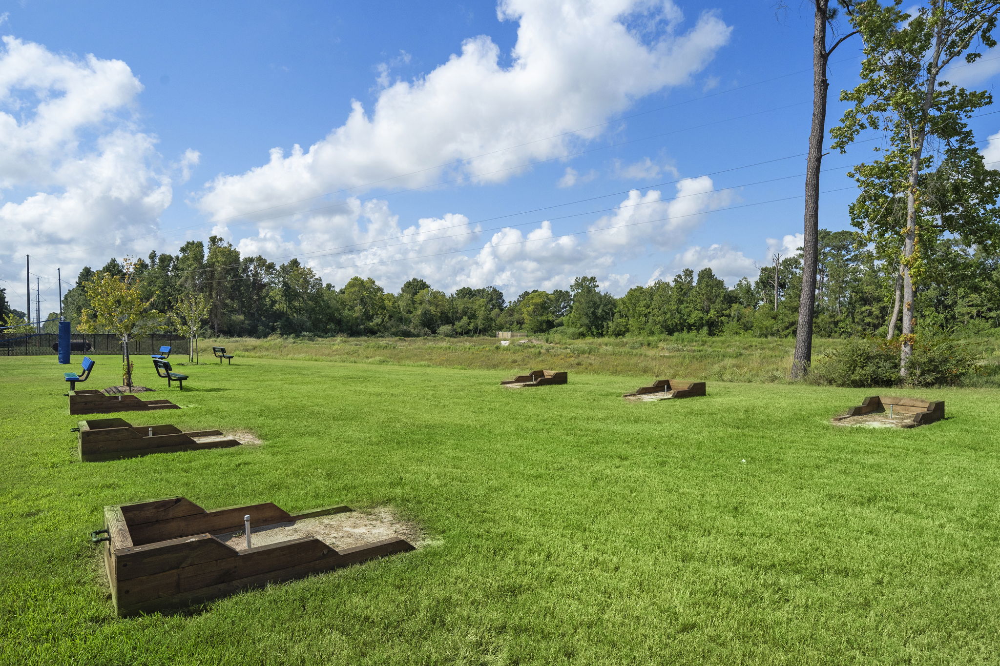A grassy field with trees in the background.